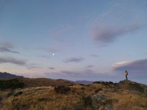 ニュージーランドで遠距離生活（２）