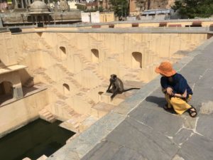 女一人でインドを旅してみたら(ジャイプール編③）