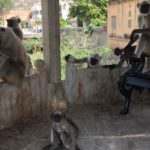 女一人でインドを旅してみたら(ジャイプール編②)