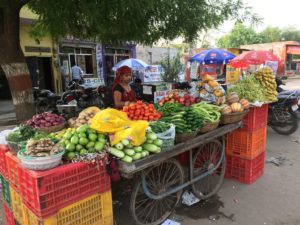 女一人でインドを旅してみたら(サワイマドプル編）