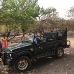 女一人でインドを旅してみたら(サワイマドプル編②）