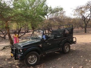 女一人でインドを旅してみたら(サワイマドプル編②）