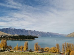 ついに仕事再開