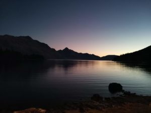 NZのすきなもの