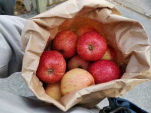 つくってたべる日