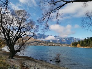 適当オムライス