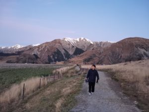 ショートトリップ(1)