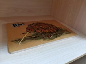 NZ×モンテッソーリ園　視察