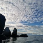 Abeltasman Nationalpark