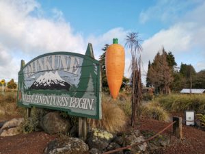 Ohakuneを訪ねてのつづき