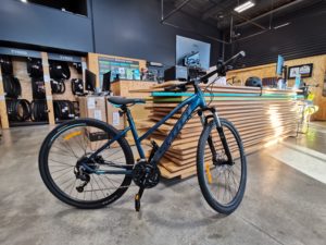 トキメキメモリアル