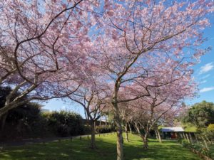 母という新たな役割