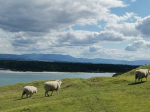 ミッドワイフとの初回面談
