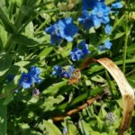 ゆるくて綺麗好きな職場環境