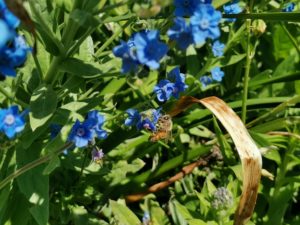 ゆるくて綺麗好きな職場環境