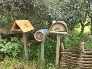 まめとわたしのこの頃