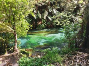 お弁当のはなし