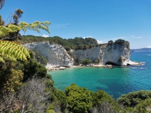 Coromandelでの年末年始