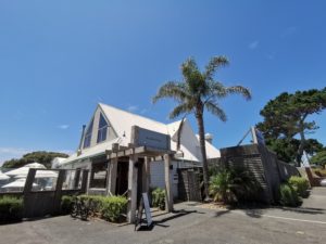 まめの近況と遅れてやってきた正月