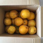 プラマイゼロからプラスの1日