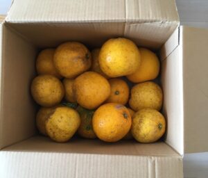 プラマイゼロからプラスの１日